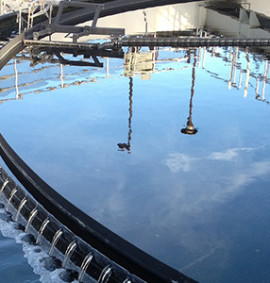 Activated Sludge Clarifier