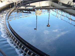 Activated Sludge Clarifier